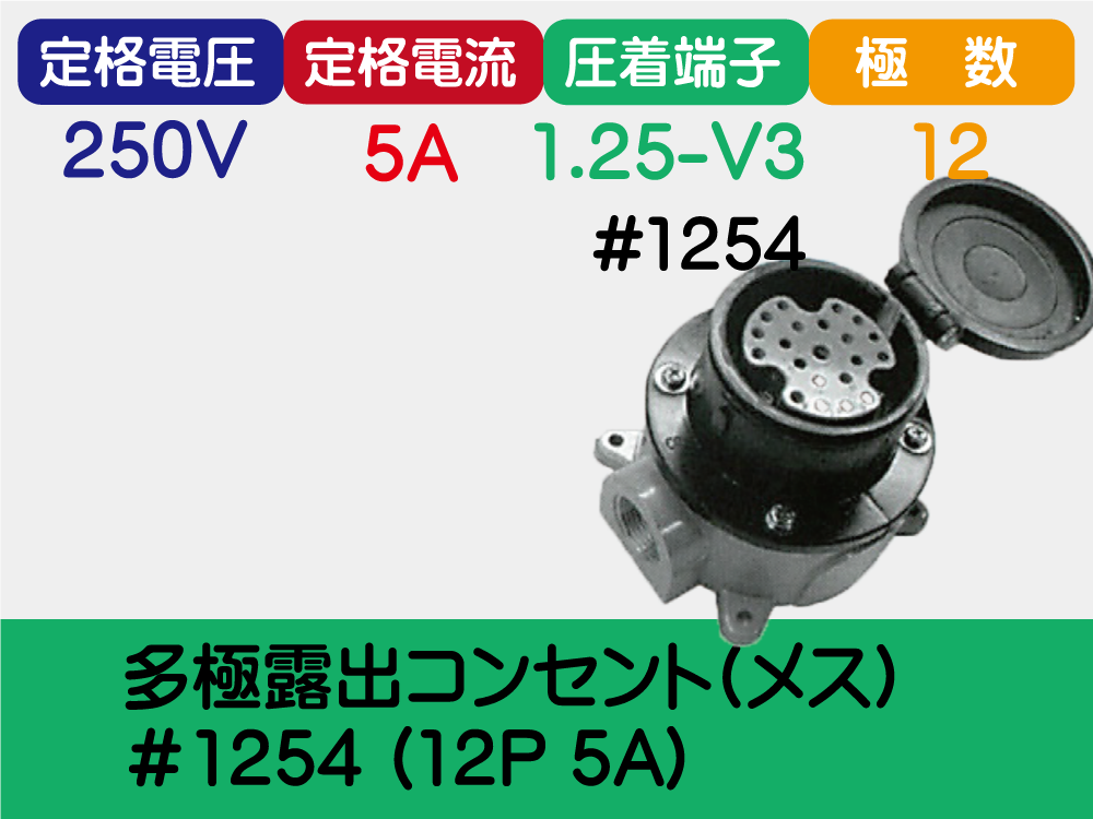 多極露出ｺﾝｾﾝﾄ(ﾒｽ)＃1254 (12P 5A)