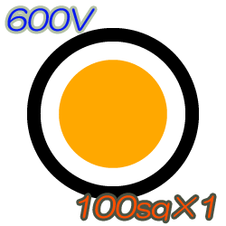 CV100sq×1C　50m