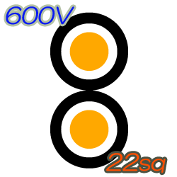 600V CVD 22sq  50m