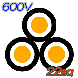 CVT22sq　100m