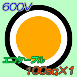 エコケーブルEM-CE100-1C　10m