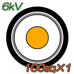 6kV CV100sq×1C 50m