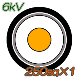 6kV CV250sq×1C 50m