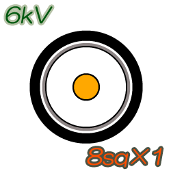 6kV CV8sq×1C 10m