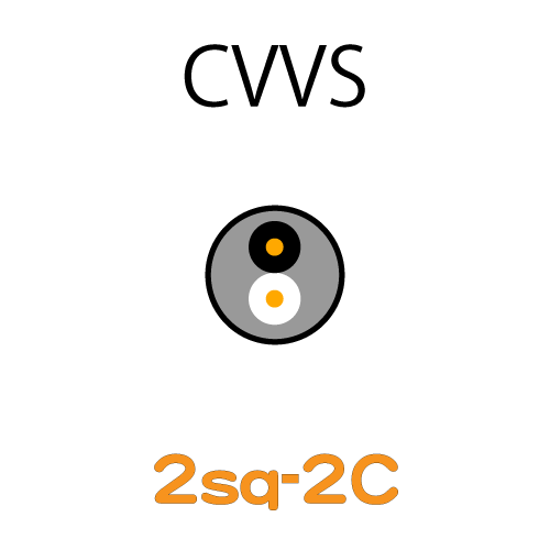 CVVS2.0sq-2C　10ｍ