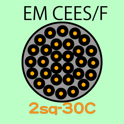 EM-CEES2.0sq-30C　10ｍ