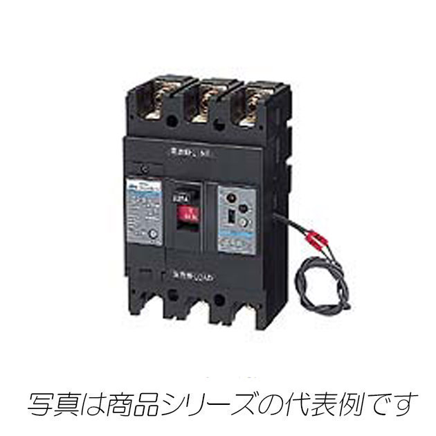 NE53GA　2P　50A　漏電警報付サーキットブレーカ（経済形）